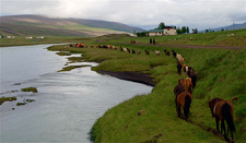 Iceland-Northern Tours-Northern Elves Trail